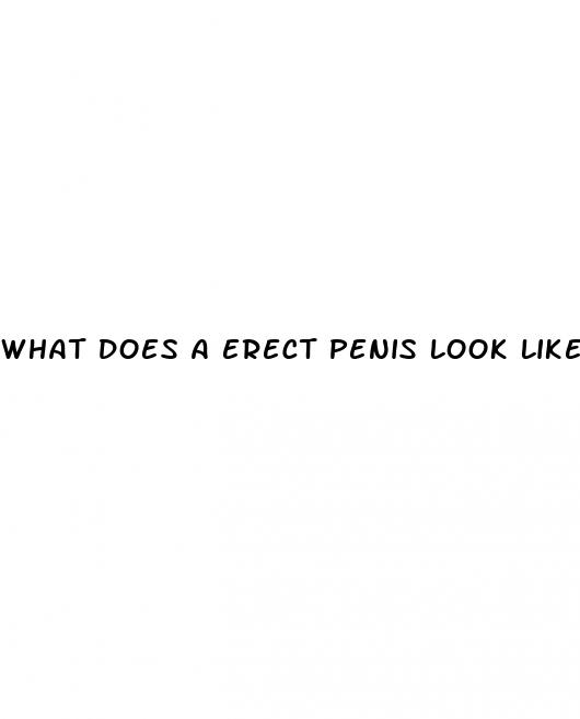 What Does A Erect Penis Look Like ﻿Indian Fashions