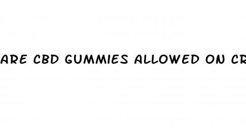are cbd gummies allowed on cruise ships