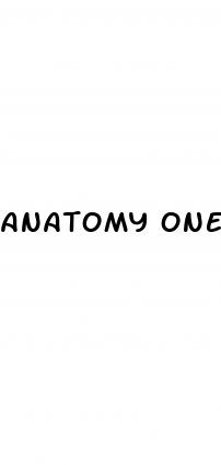 anatomy one cbd gummies for sale