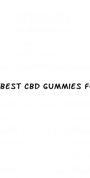best cbd gummies for cats