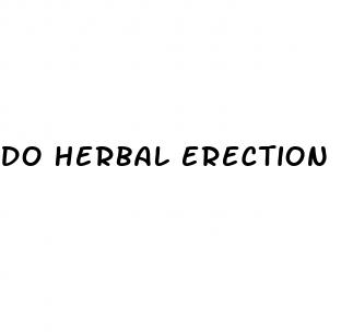 do herbal erection pills work