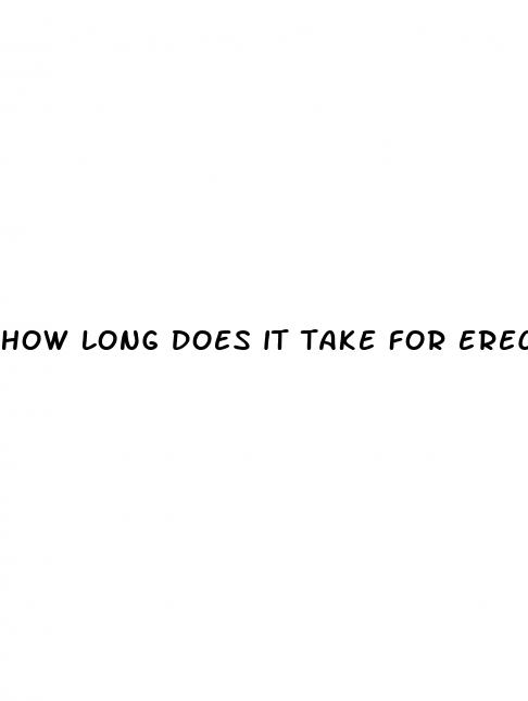 how long does it take for erection pills to work