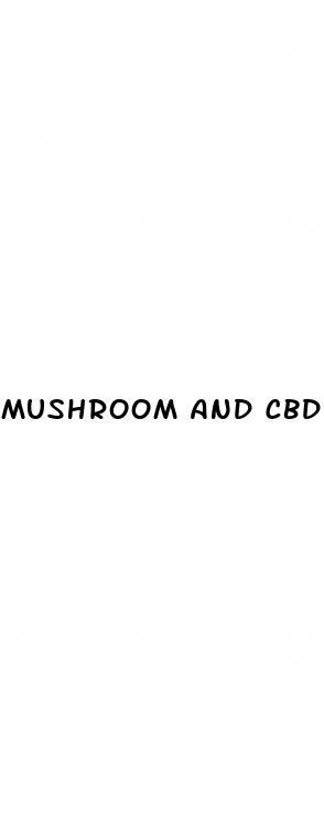 mushroom and cbd gummies