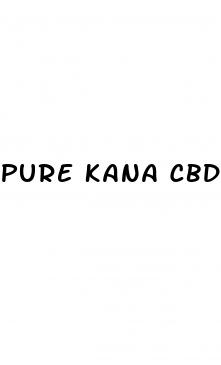 pure kana cbd gummies price