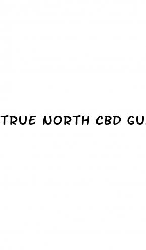 true north cbd gummies near me
