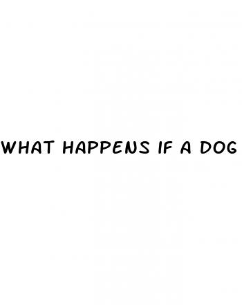 what happens if a dog eats cbd gummies
