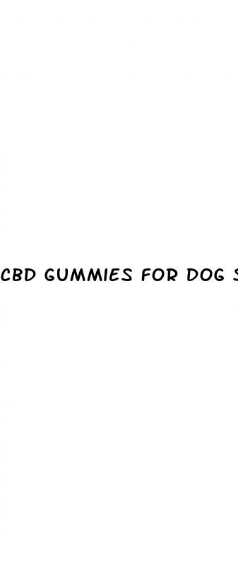 cbd gummies for dog seizures