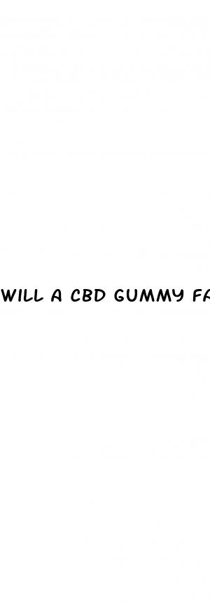 will a cbd gummy fail a drug test