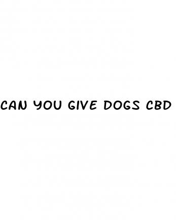 can you give dogs cbd gummies for anxiety