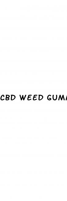 cbd weed gummies