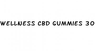 wellness cbd gummies 300mg