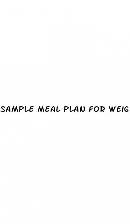 sample meal plan for weight loss