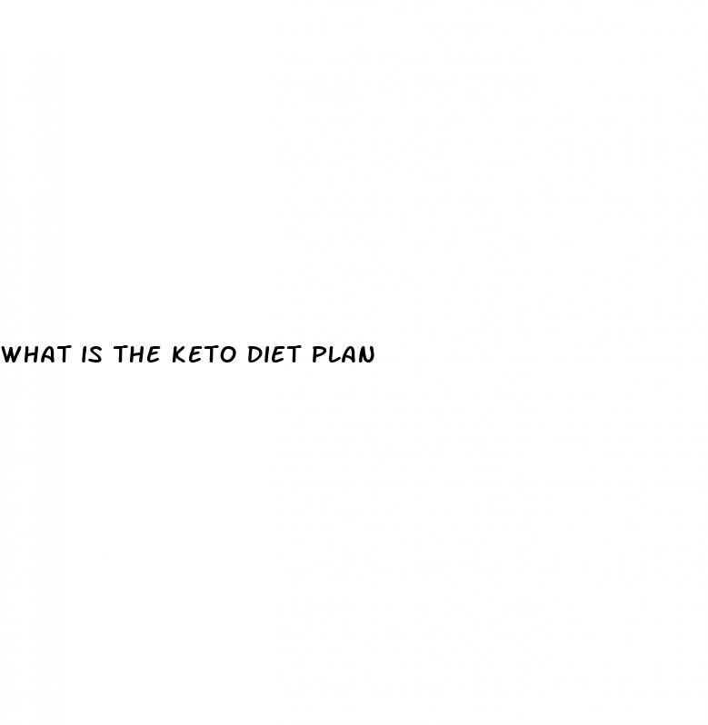 what is the keto diet plan