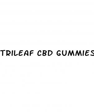 trileaf cbd gummies scam shark tank