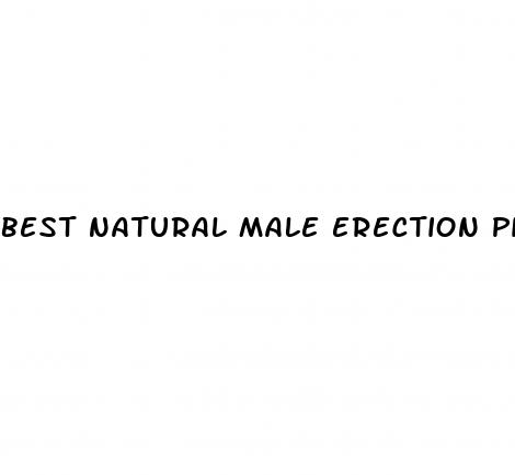 best natural male erection pills