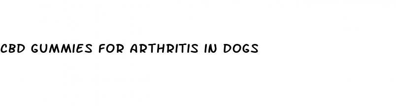cbd gummies for arthritis in dogs