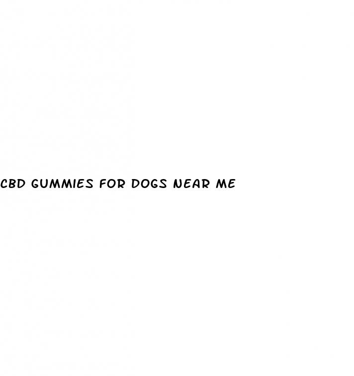 cbd gummies for dogs near me