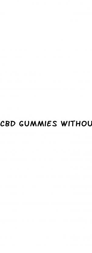 cbd gummies without sugar