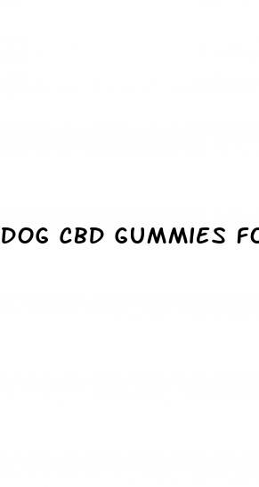 dog cbd gummies for pain