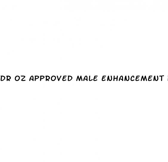 dr oz approved male enhancement pills