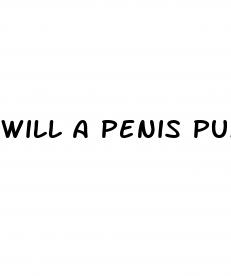 will a penis pump increase size