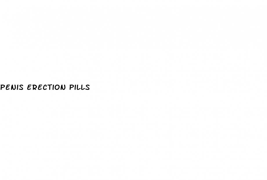 penis erection pills