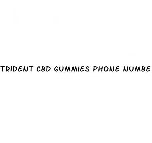 trident cbd gummies phone number