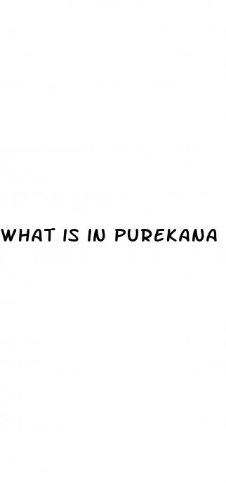 what is in purekana cbd gummies