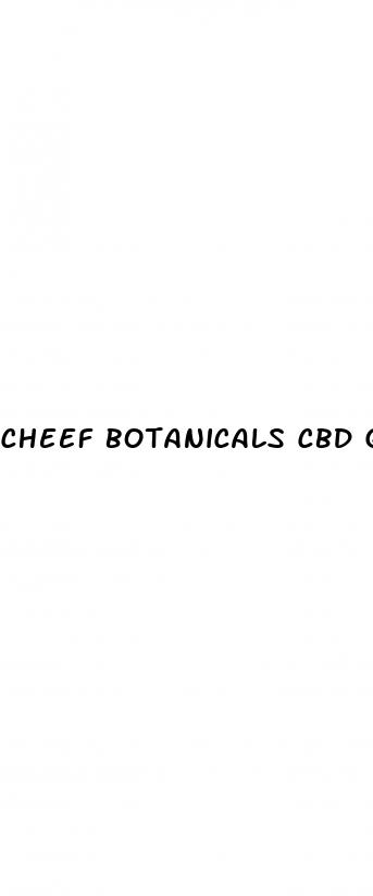 cheef botanicals cbd gummies