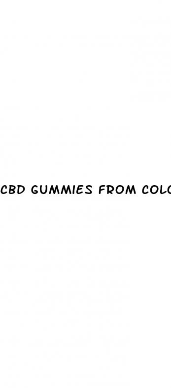 cbd gummies from colorado