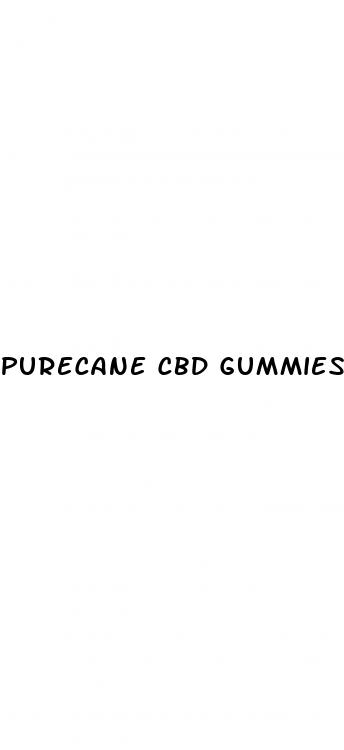 purecane cbd gummies