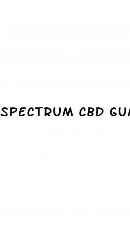spectrum cbd gummies shark tank
