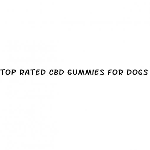 top rated cbd gummies for dogs