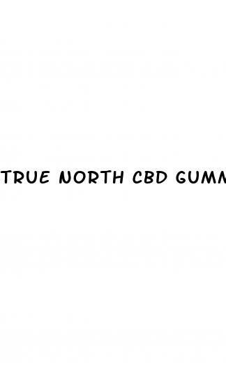 true north cbd gummies para que sirve en espa ol