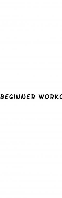 beginner workout plan for weight loss