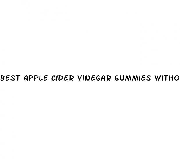 best apple cider vinegar gummies without sugar