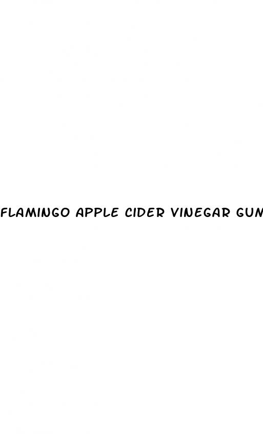 flamingo apple cider vinegar gummies