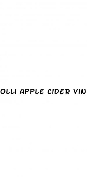 olli apple cider vinegar gummies