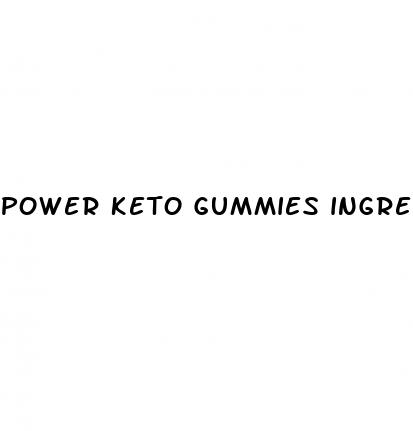 power keto gummies ingredients