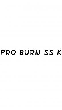 pro burn ss keto gummies