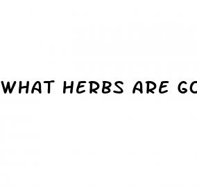 what herbs are good for weight loss