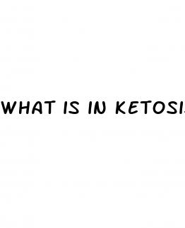 what is in ketosis plus gummies