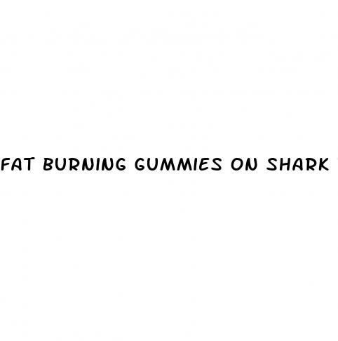 fat burning gummies on shark tank