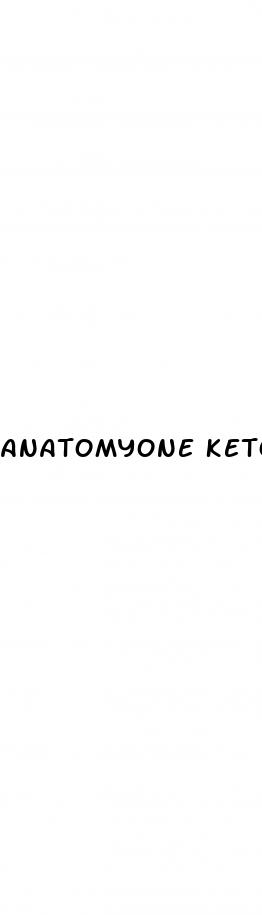 anatomyone keto acv gummies