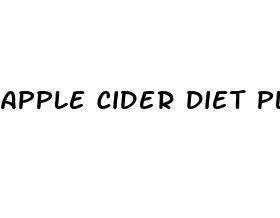 apple cider diet plan