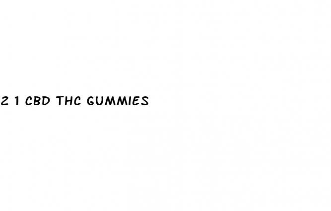 2 1 cbd thc gummies