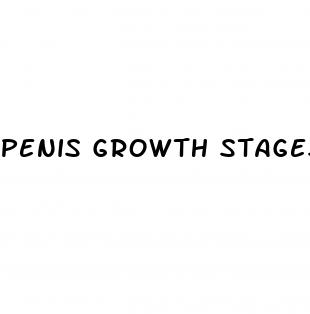 penis growth stages