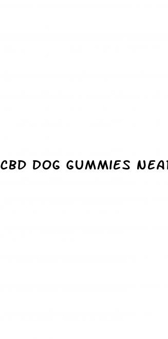 cbd dog gummies near me
