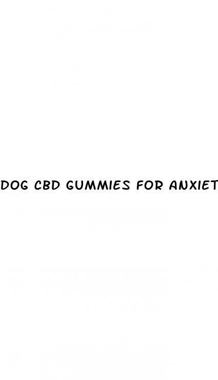 dog cbd gummies for anxiety