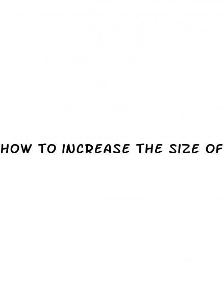 how to increase the size of penis